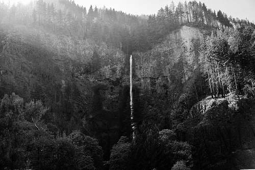 black-and-white grayscale photography of forest multnomah falls